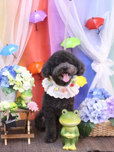 20230613コタロウくん